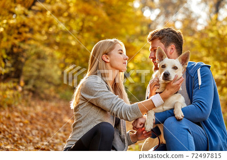 happy couple enjoy time with dog in the forest happy couple enjoy time with dog in the forest 72497815