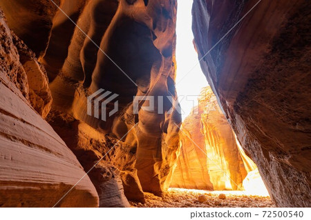 Beautiful landscape around Buckskin Gulch slot canyon Beautiful landscape around Buckskin Gulch slot canyon 72500540