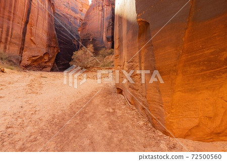 Beautiful landscape around Buckskin Gulch slot canyon Beautiful landscape around Buckskin Gulch slot canyon 72500560