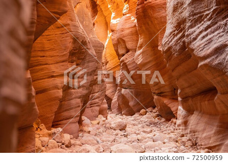 Beautiful landscape around Buckskin Gulch slot canyon 72500959