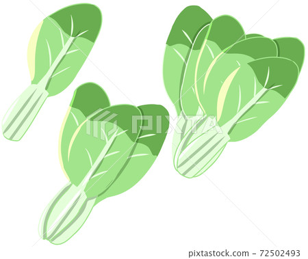Bok choy (no line) Bok choy (no line) 72502493
