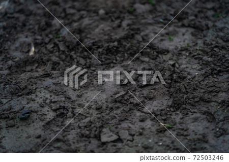 mud on the road after the rain 72503246