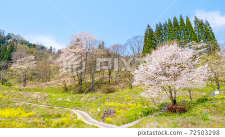 山村的春天 山村的春天 72503298