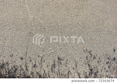 雜草在瀝青上的陰影 72503674