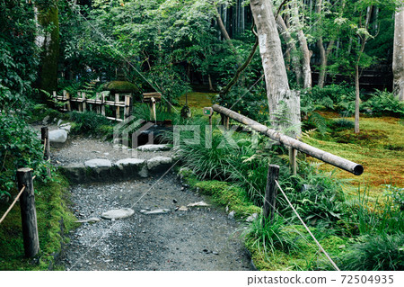 Giouji temple green garden in Kyoto, Japan Giouji temple green garden in Kyoto, Japan 72504935