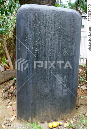 1552檸檬悲嘆紀念碑 1552檸檬悲嘆紀念碑 72505000