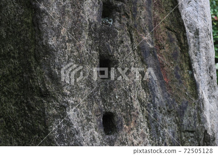 粗糙的皮膚 72505128