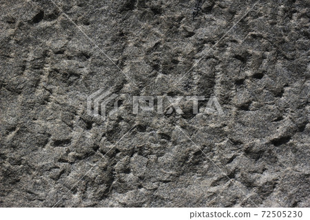 Rough rough skin 72505230