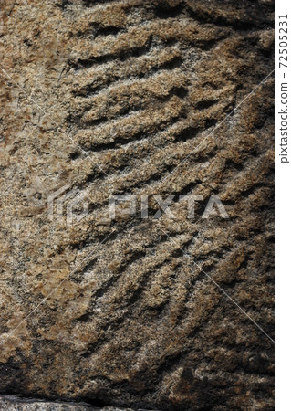 Rough rough skin Rough rough skin 72505231