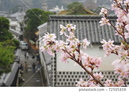 日本櫻花2021 岡山倉敷快閃賞櫻花4大打卡位 超罕有 日本著牛仔和服 Gotrip Hk