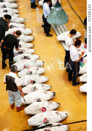 Japanese Tuna auction in fish market - Misaki Port fish market, Kanagawa Japanese Tuna auction in fish market - Misaki Port fish market, Kanagawa 72506143