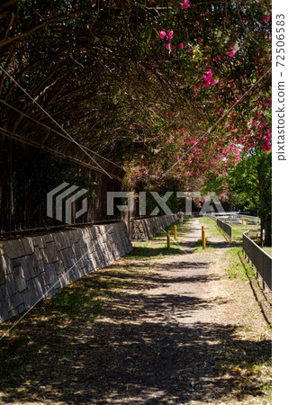 Unpaved road around Hattori Ryokuchi / Waterland 72506583