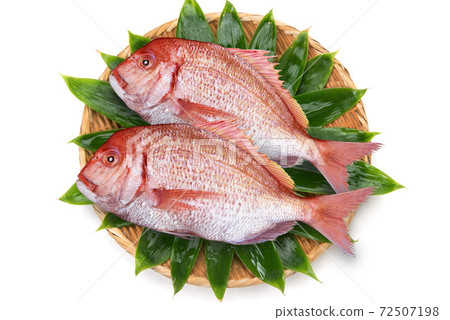 Red sea bream with raw tail 72507198