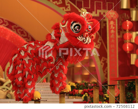 chinese new year lion dance chinese new year lion dance 72508112