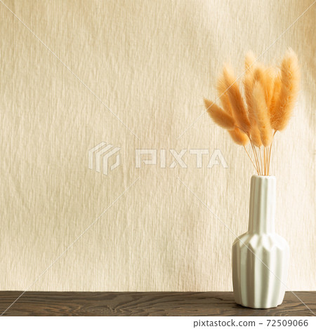 Vase of pink hares tail grass (Lagurus ovatus) dry flowers on wooden table. Beige fabric background 72509066
