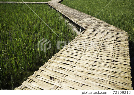 Simple walkway in summer rice field resort Simple walkway in summer rice field resort 72509213