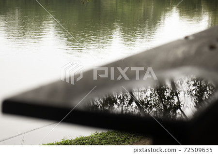 Lake view side relaxing in nature 72509635