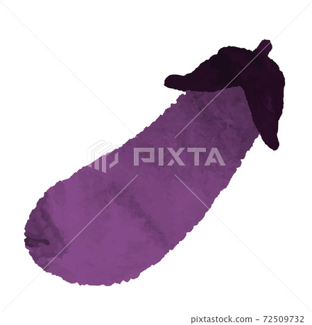 Watercolor style eggplant illustration material Watercolor style eggplant illustration material 72509732