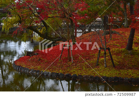 Autumn leaves in Nara Park, Nara Prefecture Autumn leaves in Nara Park, Nara Prefecture 72509987