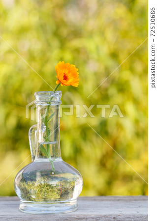 Calendula flower with a stem in a glass flask on wooden board. Calendula flower with a stem in a glass flask on wooden board. 72510686