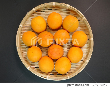 Apricot apricot apricot apricot 72513047
