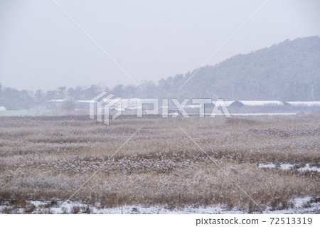 Siheung Tidal-Ecological Park, Siheung City, Gyeonggi-do 72513319