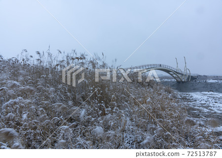 京畿道始興市始興潮汐生態園 72513787