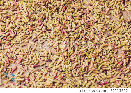 drying flower buds from clove spice drying flower buds from clove spice 72515222