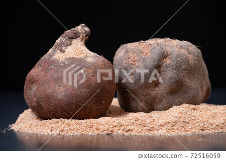 Kaga Marumo Butsu Photograph 72516059