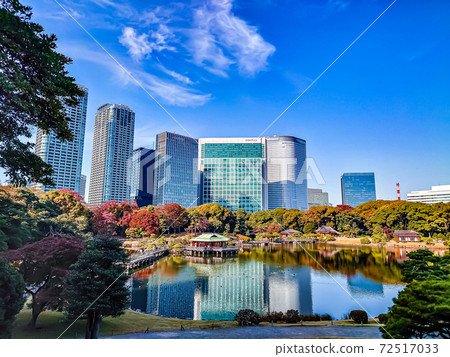 濱離宮花園 濱離宮花園 72517033