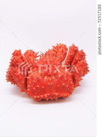 Hanasaki蟹 72517188