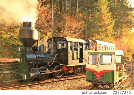 赤澤森林鐵路鮑德溫蒸汽機車和可愛的汽車(木曾森林鐵路) 赤澤森林鐵路鮑德溫蒸汽機車和可愛的汽車(木曾森林鐵路) 72517270