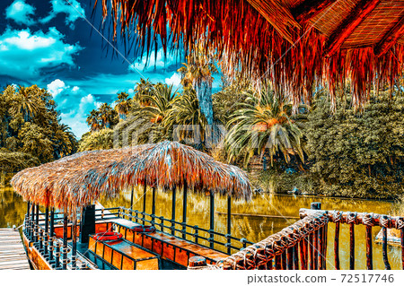 Beautiful landscape of humid tropical jungle. Beautiful landscape of humid tropical jungle. 72517746