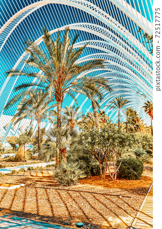 VALENCIA, SPAIN - SEPT 10 VALENCIA, SPAIN - SEPT 10 72517775
