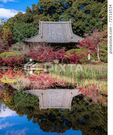 Reflection of autumn leaves and main hall of Tenri Chogakuji Temple Reflection of autumn leaves and main hall of Tenri Chogakuji Temple 72518534