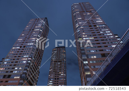 Dainichi Triple Tower Mansion 72518543