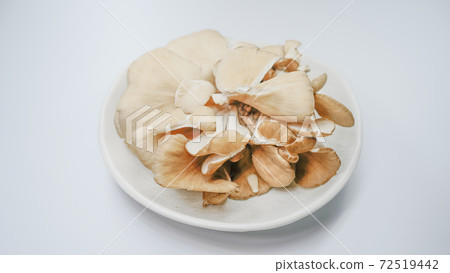 Image of Maitake mushroom 72519442