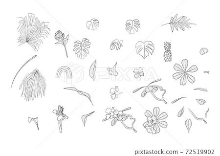 Set of monochrome boho tropical house plants and home decor objects black ink line art. Flat vector illustration. 72519902