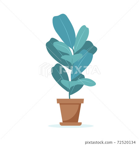 Home plant cute illustration in flat style 72520134