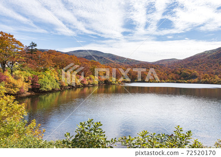 Suegawa湖秋葉 72520170