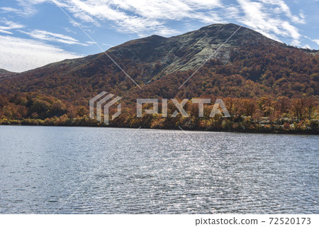 Autumn leaves of Suegawa Lake 72520173