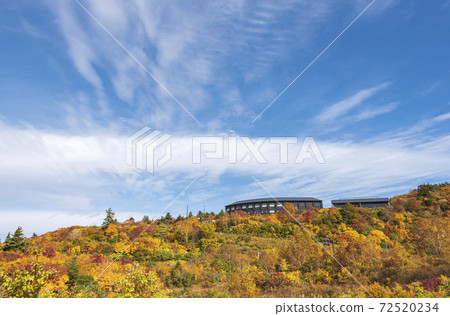Autumn leaves of Sukawa Onsen 72520234