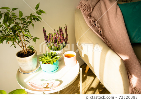 Quite place to drink morning coffee or tea 72520385