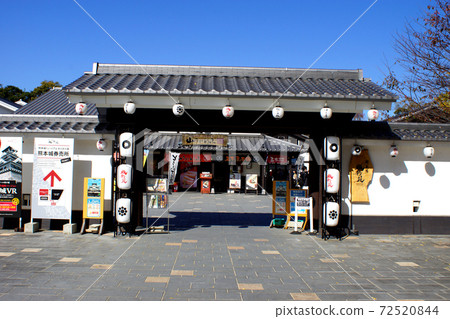 Kumamoto Castle: Cherry Baba "Shirosaien" colored with yellow leaves of ginkgo 72520844