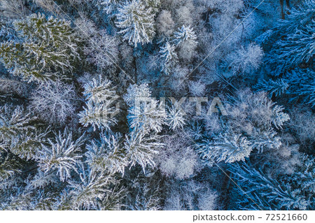Blue background texture of a frozen forest at winter, top earial view Blue background texture of a frozen forest at winter, top earial view 72521660