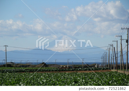Radish field, Sagami Bay, and Mt. Fuji wearing a cloud hat 72521862