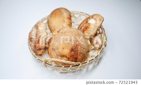 Image of shiitake mushroom Image of shiitake mushroom 72521943