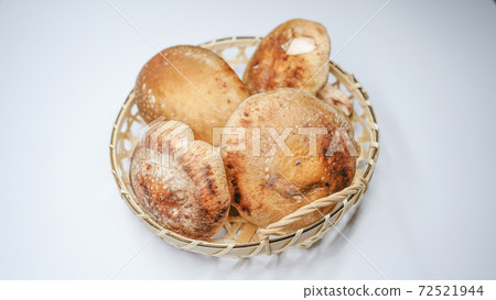 Image of shiitake mushroom Image of shiitake mushroom 72521944