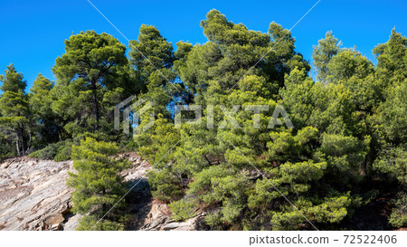 Nature scape of Greece 72522406