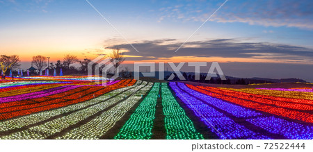 Mother Farm Illuminations 72522444